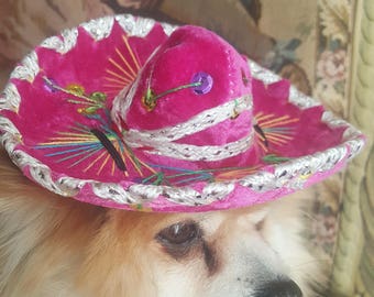 Lindo sombrero de sombrero para perro o gato