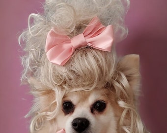 Pet  Marie Antoinette   wig blond  color  for dog or cat/ Halloween dog wig / Costume dog wig  /