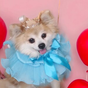 Ensemble couronne avec cravate pour chien ou chat / Ensemble princesse / Déguisement d&#39;Halloween /