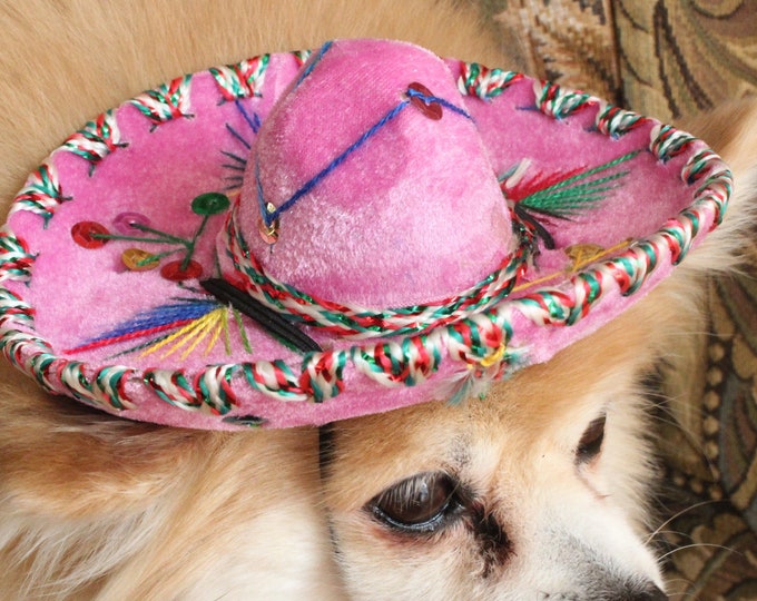 Cute Sombrero Hat Pink Color for Dog or Cat - Etsy