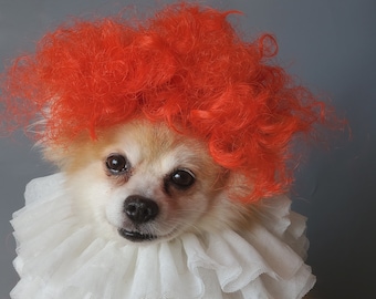 Clown  costume for your pet set wig and  neck  tie