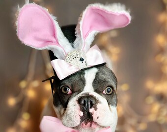 Easter Bunny hat  and bow set for dog or cat / Dog costume/Pet Halloween costume/