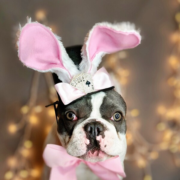 Easter Bunny hat  and bow set for dog or cat / Dog costume/Pet Halloween costume/