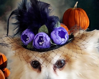 Dog hat /Halloween hat for pets/Black color   mini  hat with   feather and   flower for dog or cat