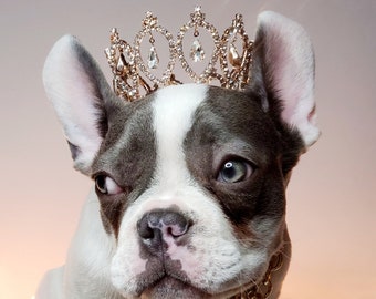 Couronne couleur argent pour chien ou chat /Couronne de chien princesse / Couronne pour chien /Couronne de princesse/