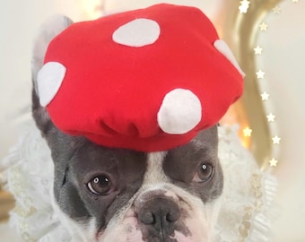 Supper Mario mushroom hat for pets /   Dog costume/Halloween dog and cat costume/