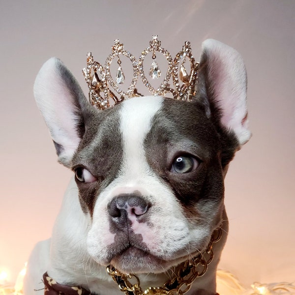 Couronne couleur argent pour chien ou chat /Couronne de chien princesse / Couronne pour chien /Couronne de princesse/