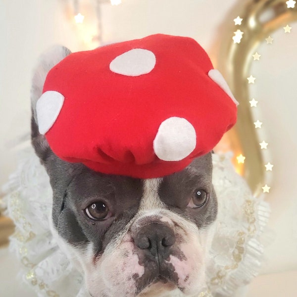 Supper Mario mushroom hat for pets /   Dog costume/Halloween dog and cat costume/