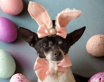 Easter Bunny hat  and bow set for dog or cat