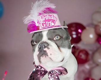 Puede incluir: Un bulldog francés con un sombrero rosa con las palabras "Birthday Girl" en él. El perro está de pie sobre un pastel rosa y dorado con confeti rosa y dorado alrededor.