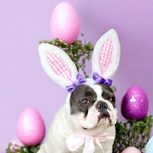 Easter Bunny headband  for dog /Bunny dog hat / Bunny dogs costume/