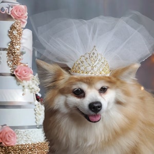 Small pet Veil  /Veil for pet/ Cute bridal  veil  with white gold crown  for dog and cat