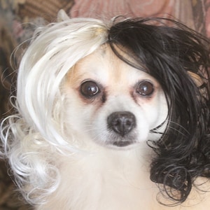 Peluca de Cruella Deville en color blanco y negro para perro o gato / Peluca de perro de Halloween / Peluca de gato de Halloween / Peluca para mascota / Peluca de Cruella Devil /