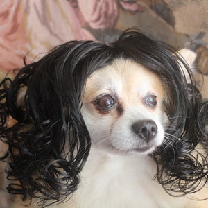 black dog wig