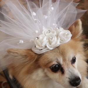 Veil for pet/ Cute bridal  veil  with white flowers for dog and cat