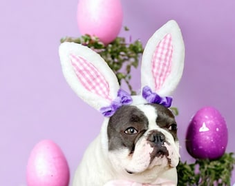 Easter Bunny headband  for dog /Bunny dog hat / Bunny dogs costume/