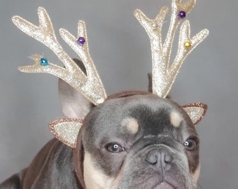 Serre-tête Bois De Renne Pour Chat & Chien - Déguisement Mignon Noël Avec Boucle Ajustable - Accessoire Photo Fêtes (Motif Élan) - 8