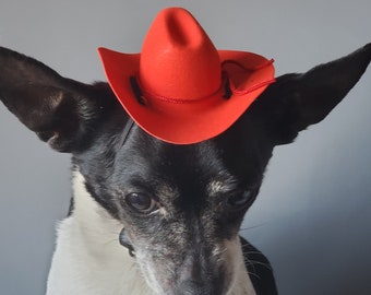 Cowboy hat for dog or cat red color/Cowboy dogs costume/Cowboy dogs hat /Cowboy cat hat /