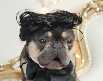 Gomez Addams wig for pets/Dog costume /Dog wig /Cat wig /Pet wig /
