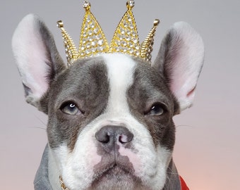 Crown   for dog or cat /Princess dog crown / Crown for dog /Princess crown/