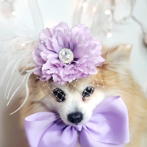 Elegant hat with   feather and   flower for dog or cat /Hat for small pet /Costume for dogs/