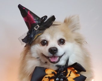Witch hat for dog/ Black color Halloween hat with bow tie/Dog costume/Halloween  costume/Cat Halloween costume/