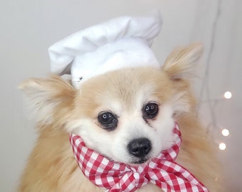 Chef Dog  Hat /  Chef  Hat for cat /Chef hat  for pets/