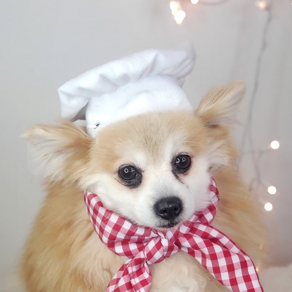 Chef Dog  Hat /  Chef  Hat for cat /Chef hat  for pets/