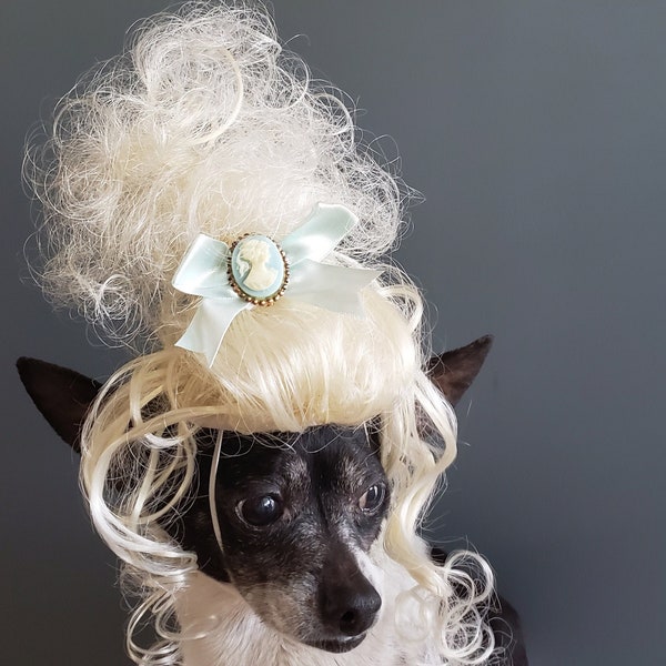 Pet  Marie Antoinette   wig blond  color  for dog / Halloween pet wig / Costume wig  for dogs /