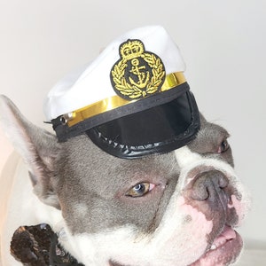 Captain hat for dog or cat  Small animal Doll /Halloween pet hat /Captain pet costume/