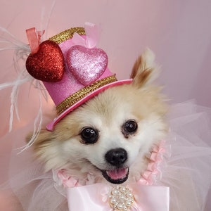 Elegant hat with   feather and   hearts for dog or cat /Hat for small pet /Costume for dogs/