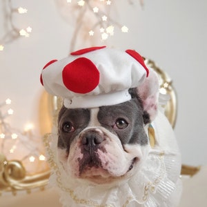 Supper Mario mushroom hat for pets /   Dog costume/Halloween dog and cat costume/