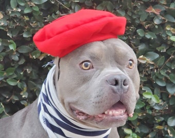 Set for dog Beret  hat red color with Bandana scarf for large dog