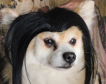 Pet   wig black  color  for dog or cat/Halloween dog wig /Costume for dog/ Dog costume / Cat costume /