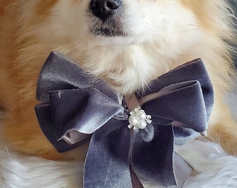 Velvet  Bow tie  // Dog Halloween Bow //  Costume || Dog Neck Tie || Pet Bow Tie || Dog Clothes