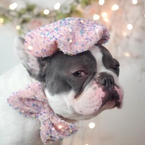 Set listing /Beret  hat   for dog or cat /Hat for dogs/Beret for dogs /
