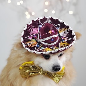 Set listing Cute sombrero   hat  and  bow tie for dog or cat