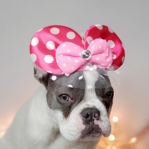 Mini mouse hat for dog of cat / Halloween dog  costume/Halloween cat costume /Mouse  hat /