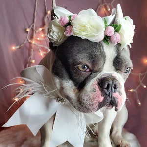 Set flower crown and neck bow / Garden Flowers Pet wedding Set /Flower Crown/ Dogs Floral Headband /Cat Flower Crown Outfits/