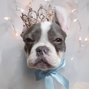 Set Listing  Rose Gold color crown   with  blue  collar tie for dog or cat /Princess set/
