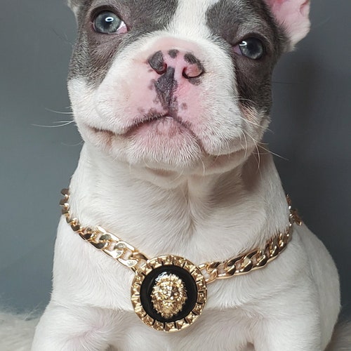 Supper Cute Dog Neck Chain Gold Color/ Jewelry for Pet Etsy