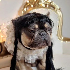 Perruque Mercredi pour chien / Famille Addams Perruque tressée pour animal de compagnie de couleur noire pour chien ou chat / Perruque de costume d&#39;Halloween pour chien /