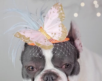 Elegant hat with   feather and   butterfly for dog or cat /Hat for small pet /Costume for dogs/