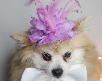 Elegant hat with   feather and   flower for dog or cat /Hat for small pet /Costume for dogs/