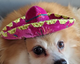 Lindo sombrero sombrero de color verde para perro o gato