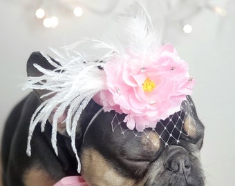 May include: A French bulldog wearing a pink flower headband with white feathers and a pink bow tie.