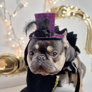 Vampire costume for pet/ Black color Halloween hat with cape /Dog costume/Halloween  costume/Frenchies Halloween costume/