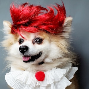 It clown dog costume hotsell
