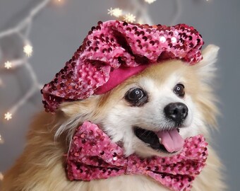 Set listing /Beret  hat   for dog or cat /Hat for dogs/Beret for dogs /