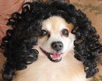 Cute  black color wig  for you pet /Wig for dog  / Halloween pet costume /Dog costume / Cat costume /